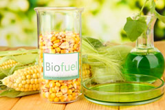 Spanish Green biofuel availability